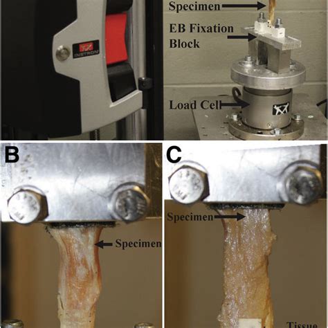 preload soft tissue test|Biomechanical testing of commercially available soft.